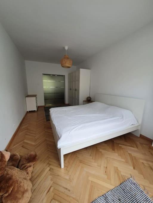 Spacious And Quiet 1Br Apartment In Floreasca بوخارست المظهر الخارجي الصورة
